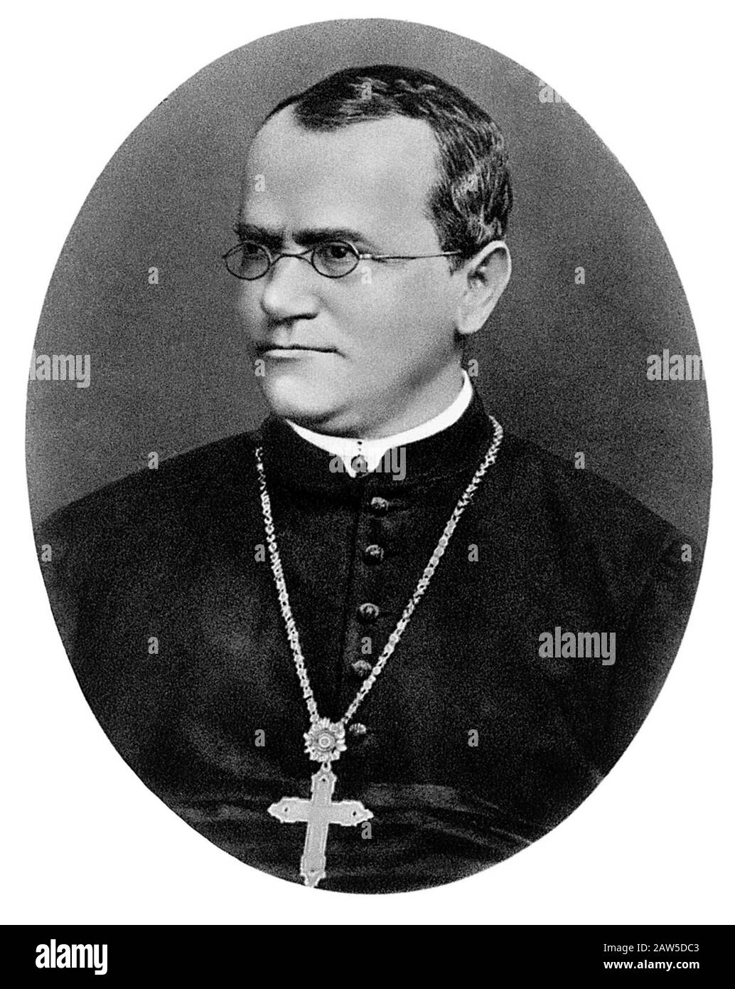 1875 ca , AUSTRIA : The Slesian zoologist , biologist and physician Catholic Agostinian friar GREGOR JOHANN MENDEL ( 1822 - 1884 ) . Mendel portrait p Stock Photo