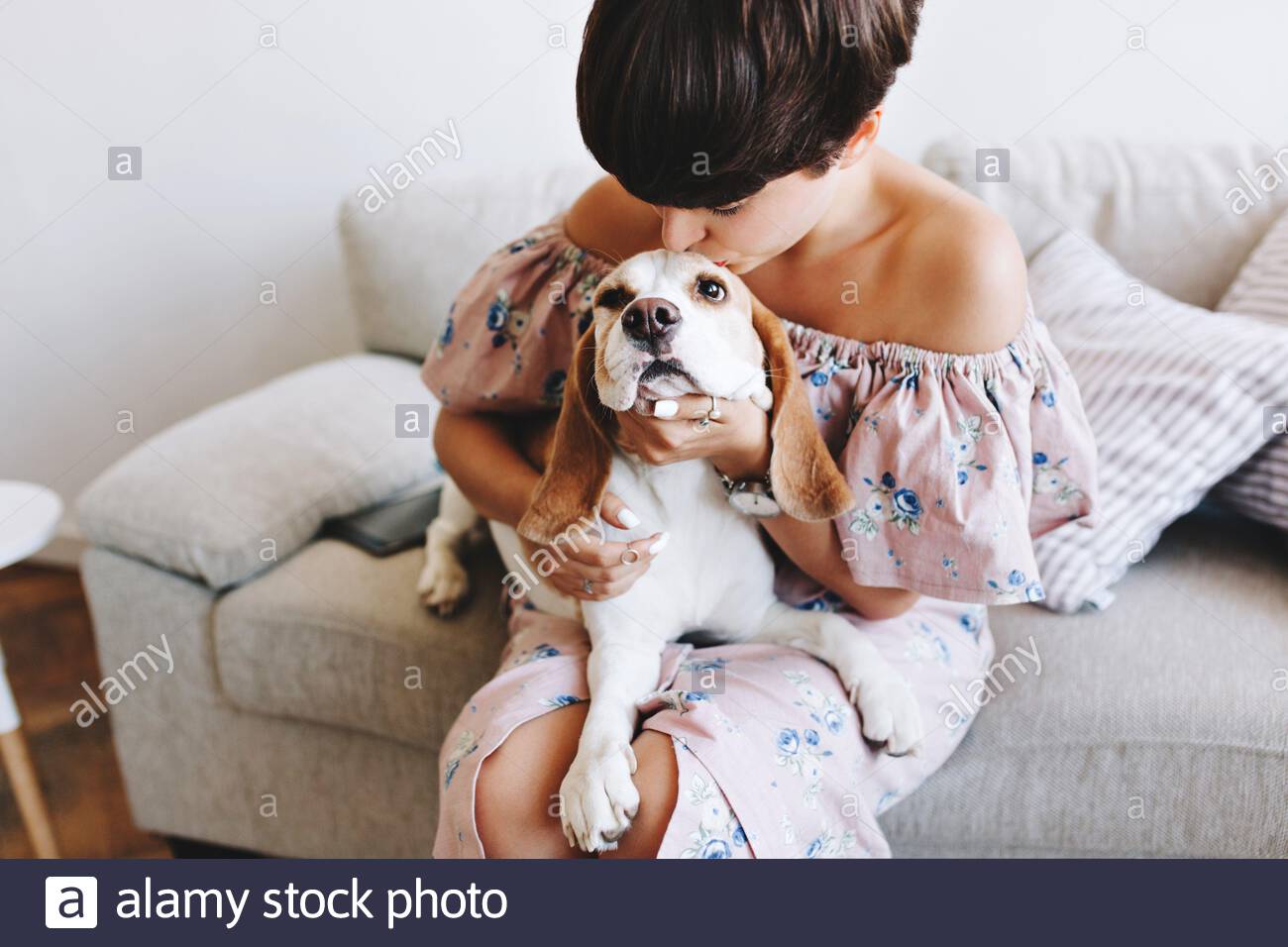 Girl Kissing Dog Home Stock Photos Girl Kissing Dog Home Stock