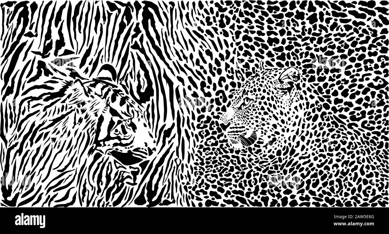 Tiger and Leopard and pattern background Stock Vector