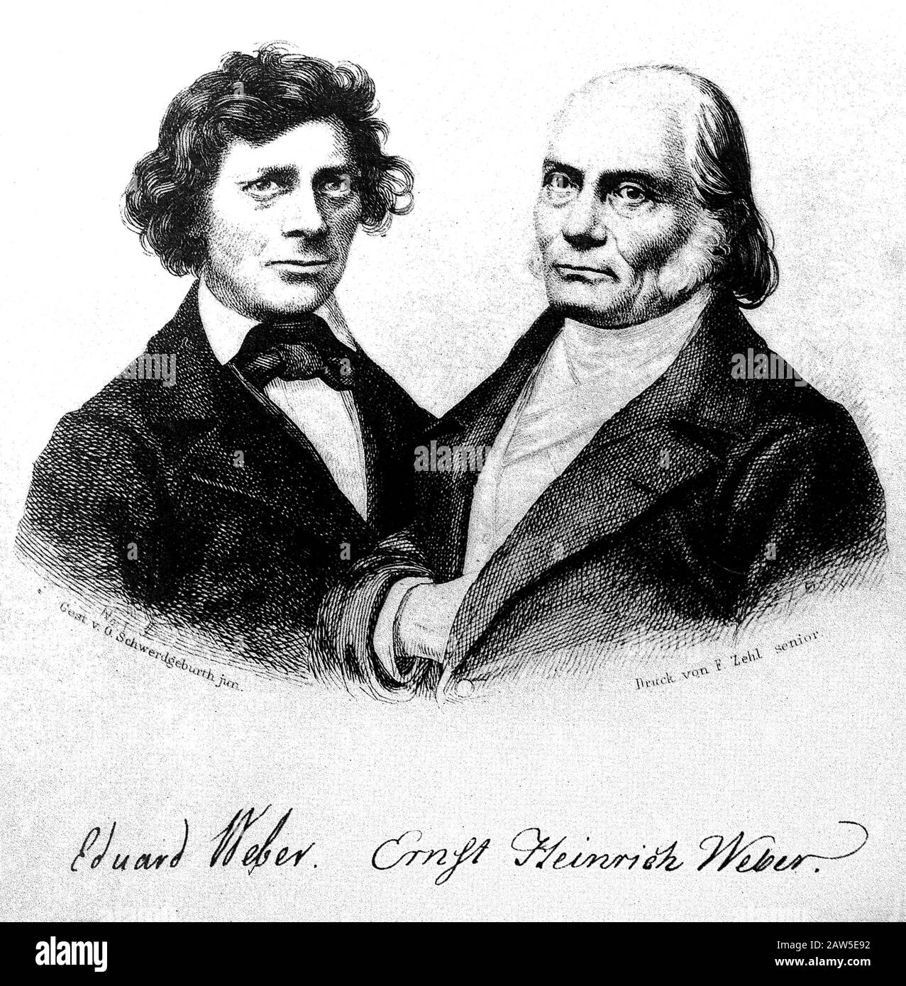 1850 ca , GERMANY : The two German physicians Ernst Heinrich Weber ...