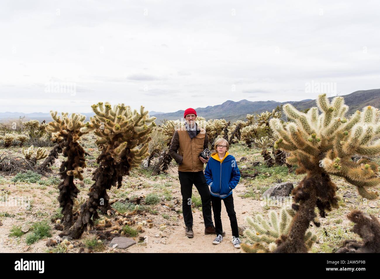 Father and Son in Cholla cactus field stretching to far off hills Stock Photo