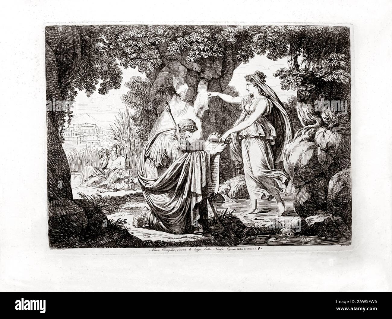 Numa pompilius hires stock photography and images Alamy