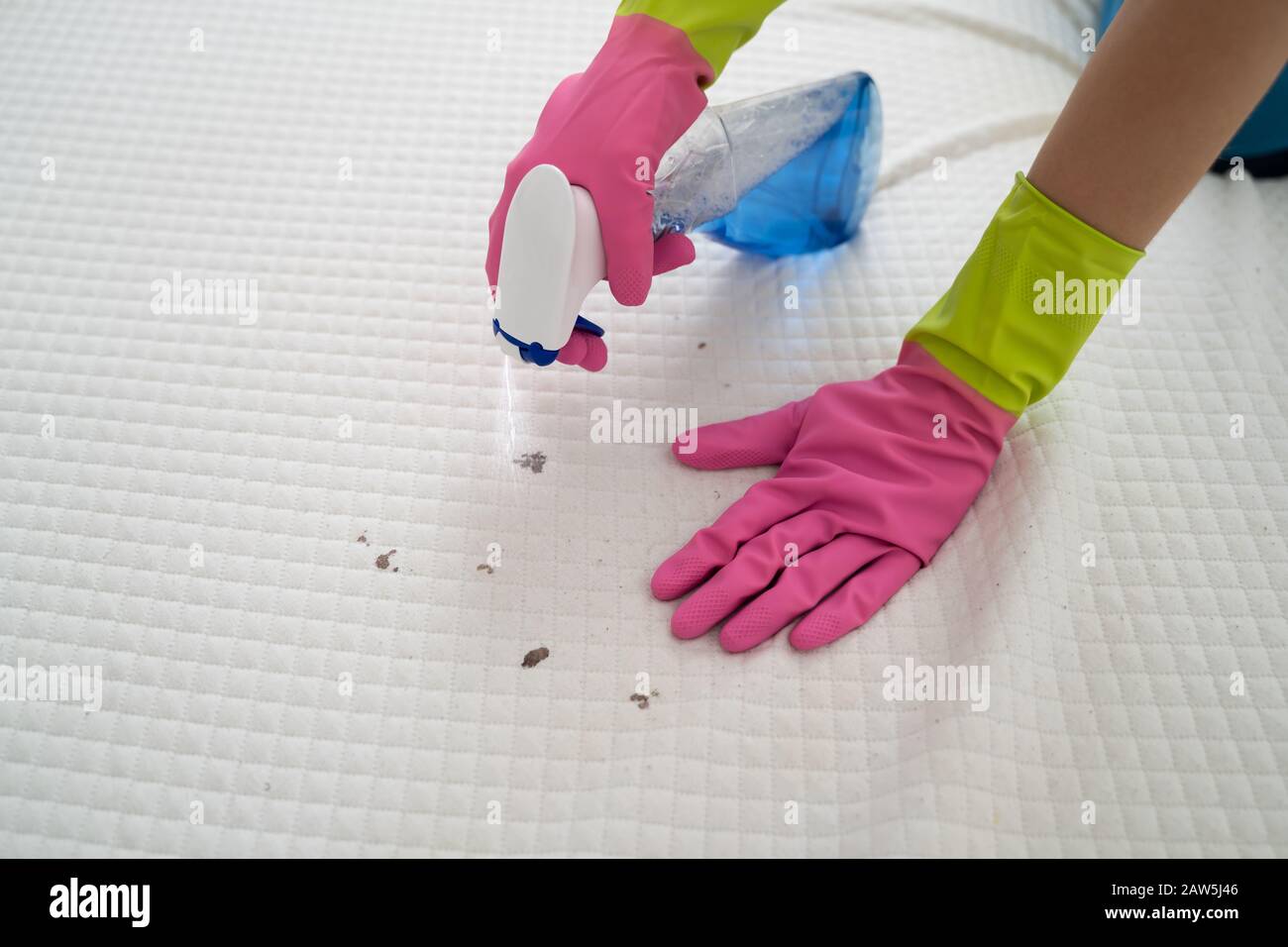 Mattress Stain Cleaning By Professional Service Cleaner Stock Photo