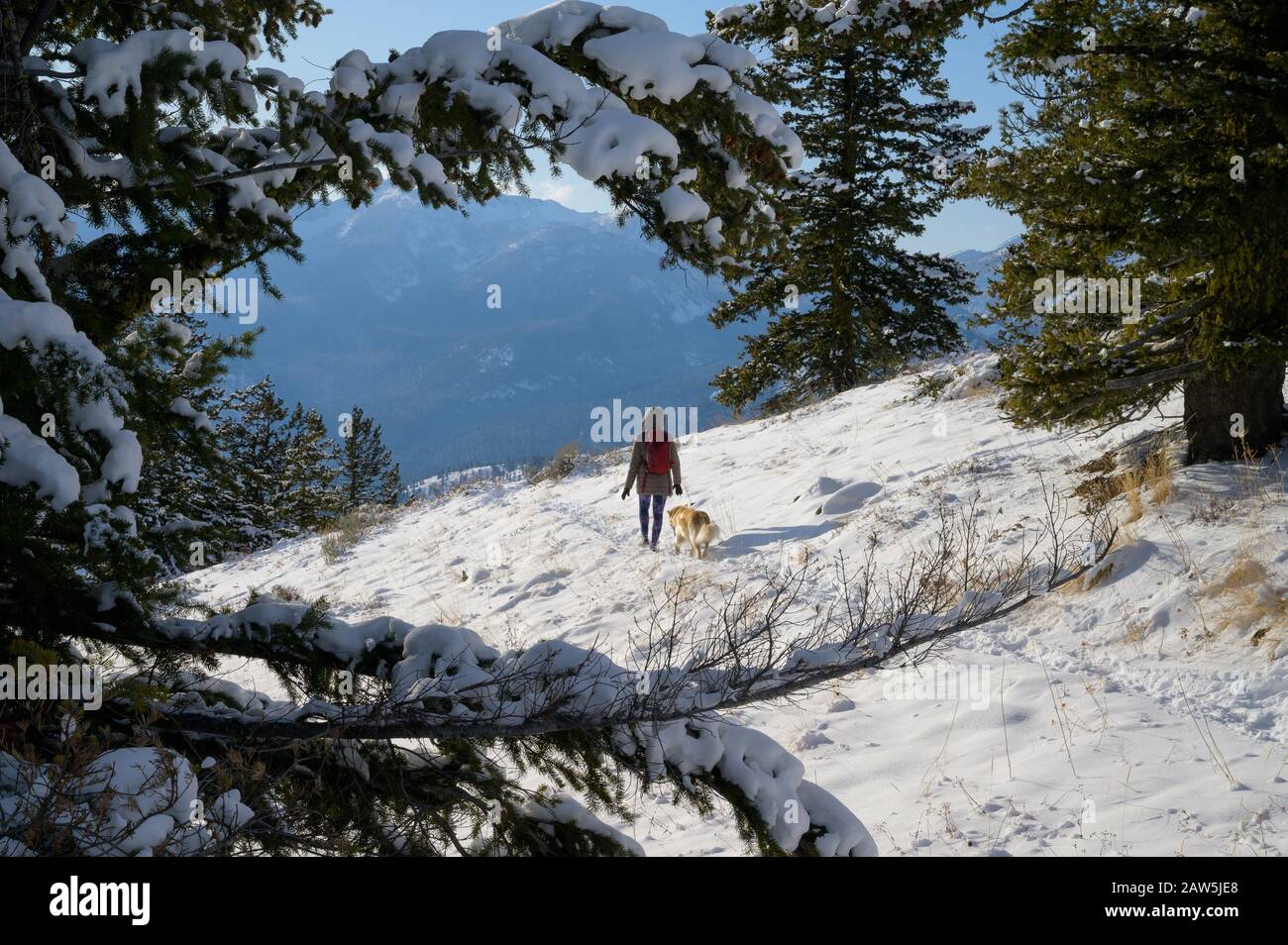 Hiking snowy mountains hi-res stock photography and images - Alamy