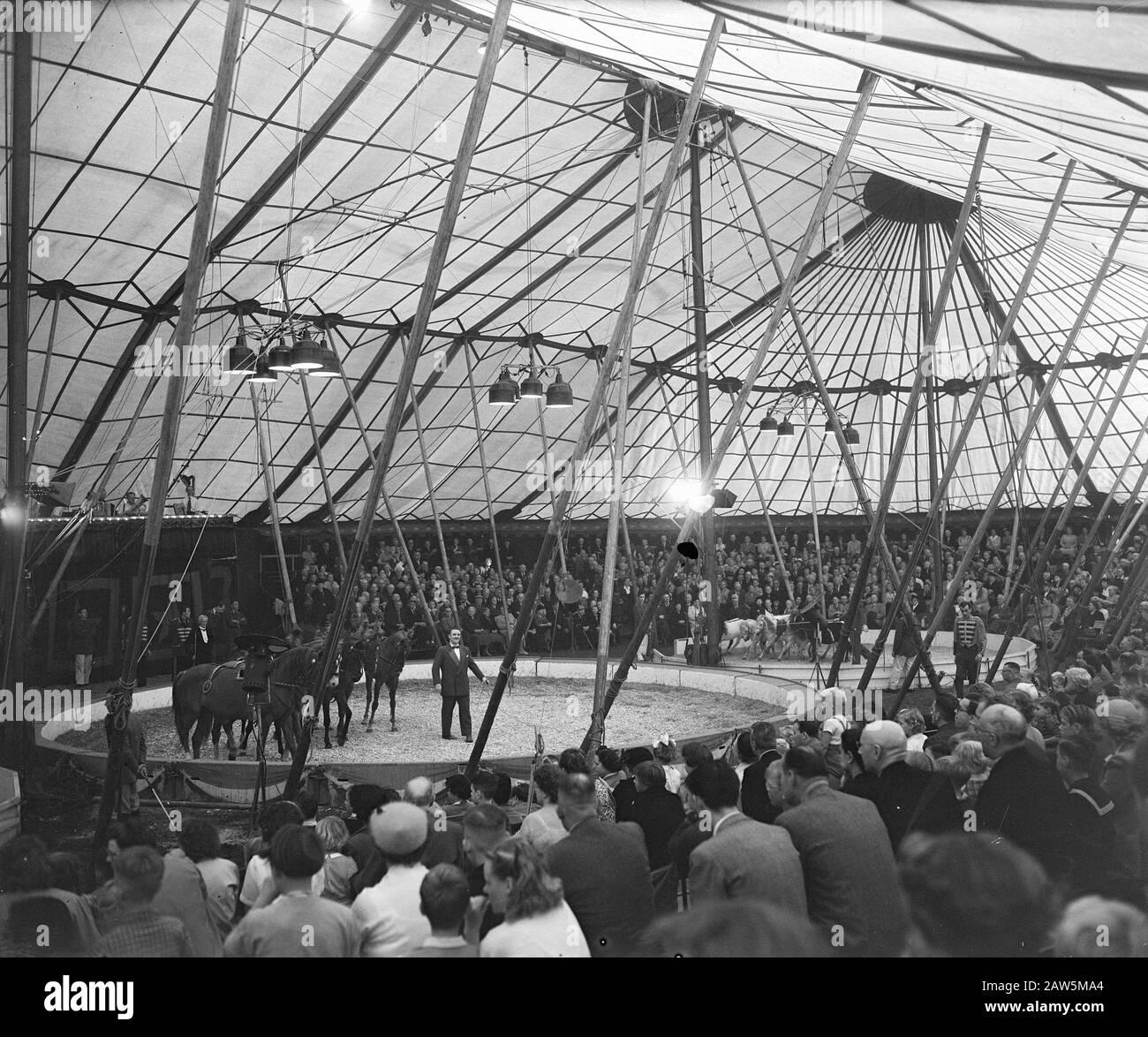 Shooting during performance Circus Mullens Date August 27, 1953
