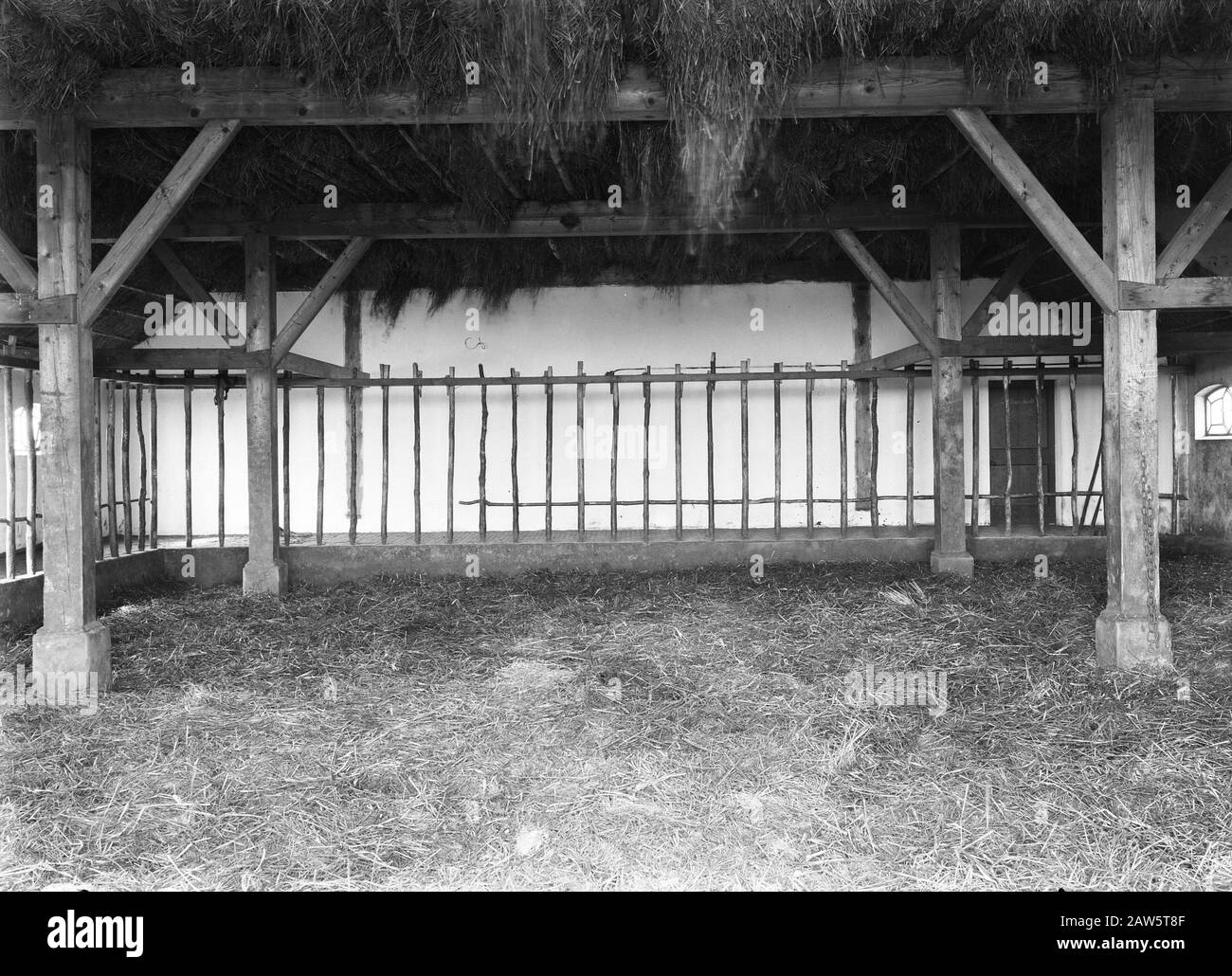 mining, cattle in the pasture, general images, turf pitch reportage, stables, farms Date: undated Location: Esbeek Keywords: general images, estates, mining, stables, turf pitch reportage, cattle in the meadow Setting: Utrecht, the Stock Photo