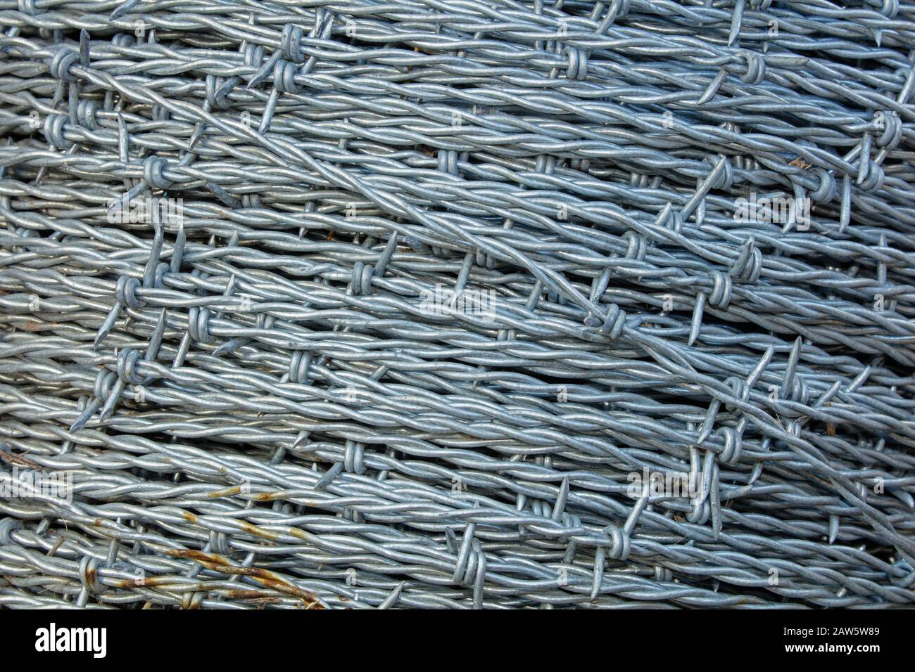 barbed wire, Arizona Stock Photo