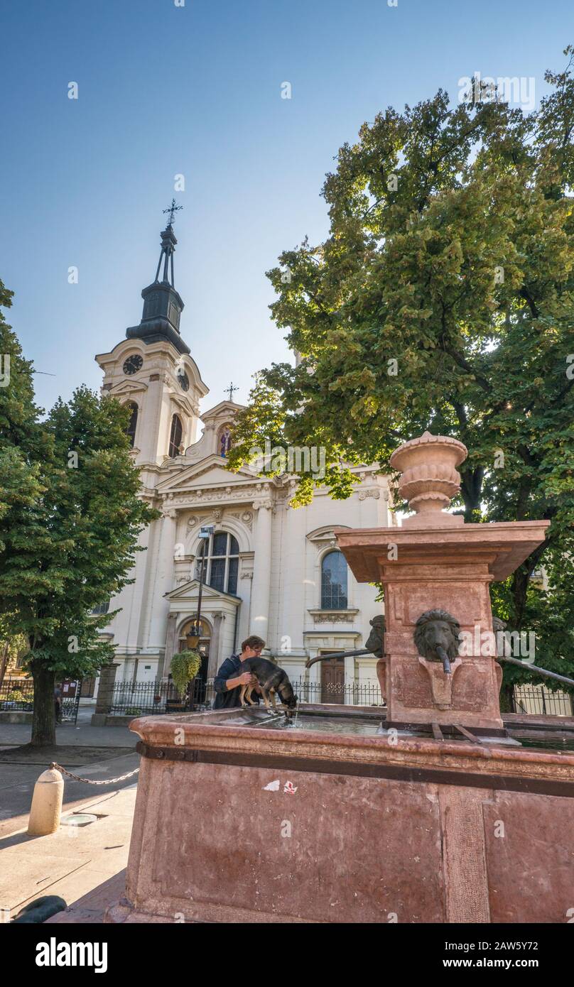 Four Lions Fountain, 1799, Baroque style, in front of Orthodox Cathedral of St. Nicholas, 1762, Sremski Karlovci, Vojvodina, Serbia Stock Photo