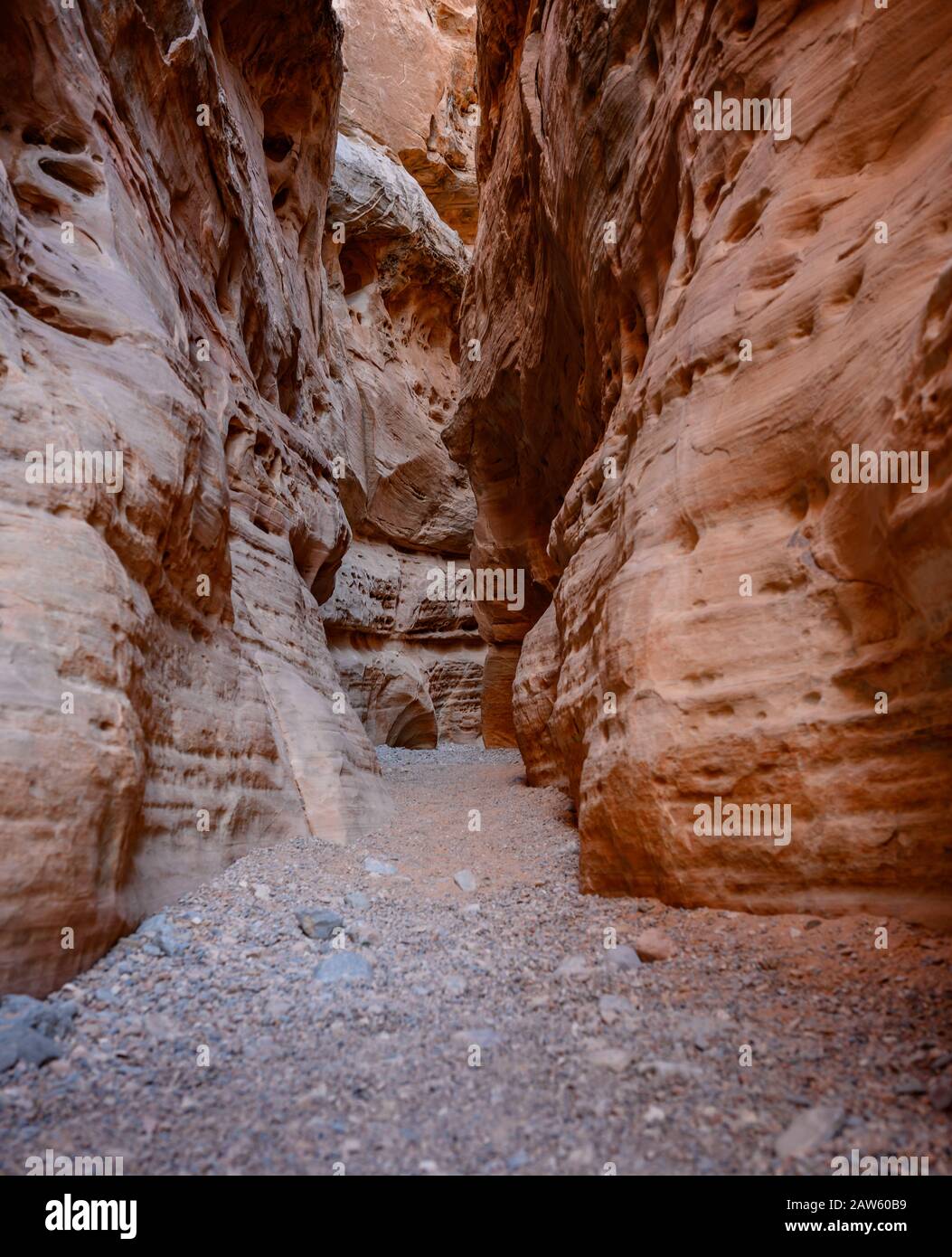 Dry Slot Canyon of Sandstone in Nevada desert Stock Photo - Alamy