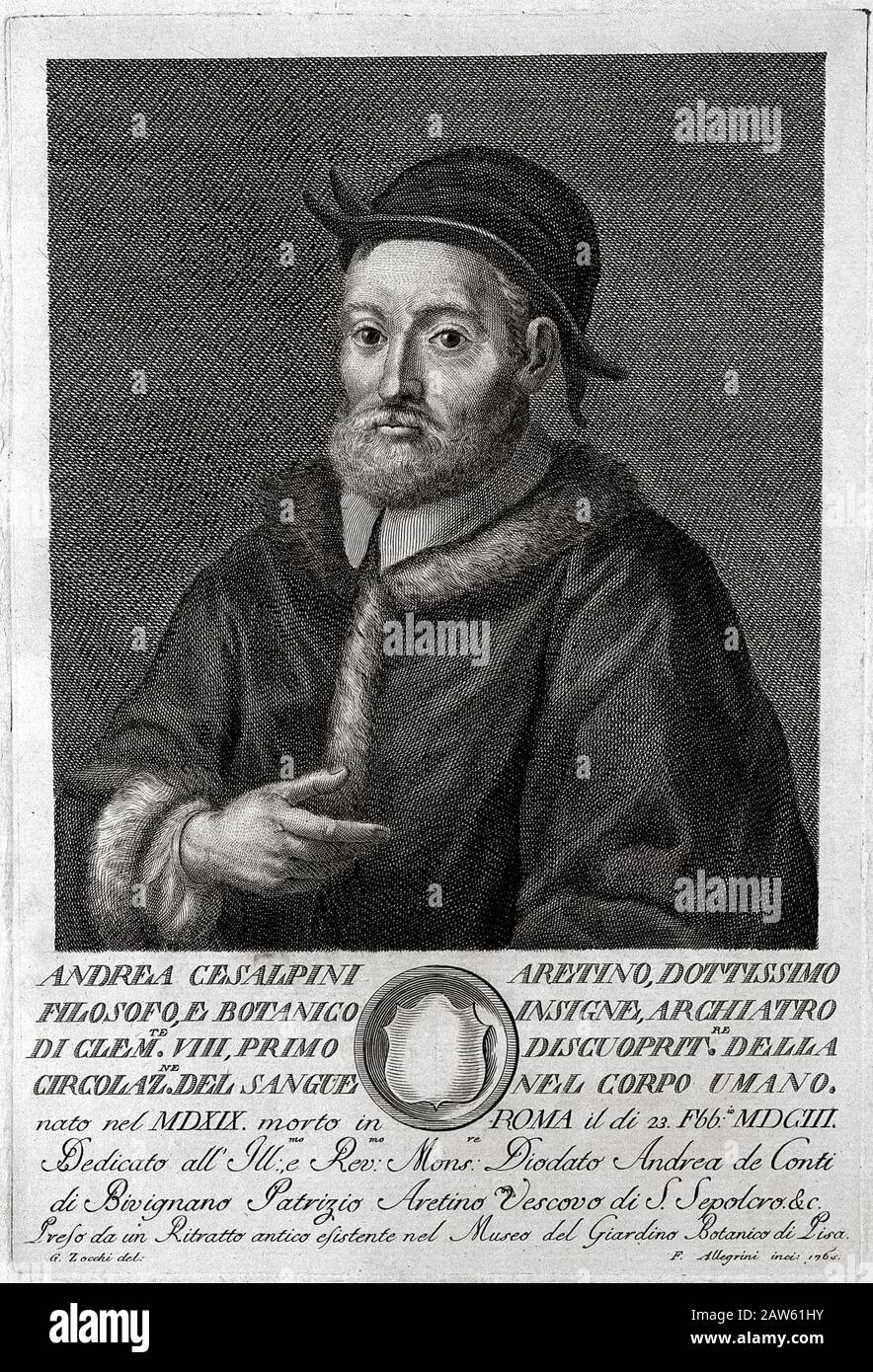 1600 ca , ITALY :The italian ANDREA CESALPINO ( 1519  -  1603 ), physician,  philosopher and botanist  .Portrait engraving from 1765  by Giuseppe Zocc Stock Photo