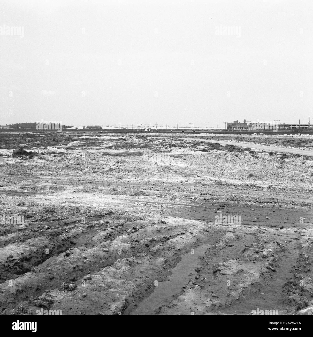 recreational areas, airports, etc., wild areas, job deflections, Rotterdam Airport Date: June 1965 Location: Rotterdam, South Holland Keywords: job deflections, recreational areas, airports, etc., wild areas Person Name: Airport Rotterdam Stock Photo