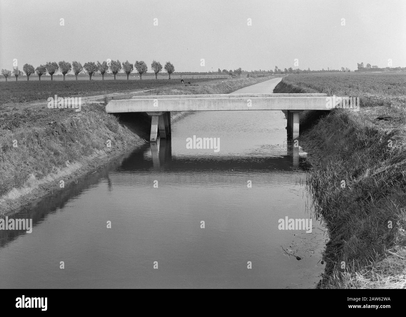 normalization of streams, digging and filling in trenches, laying ...