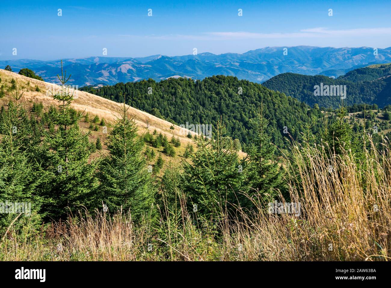 The Dinaric Ranges Kopaonik mountain range, Dinaric Alps, Rasina District, Serbia Stock ...
