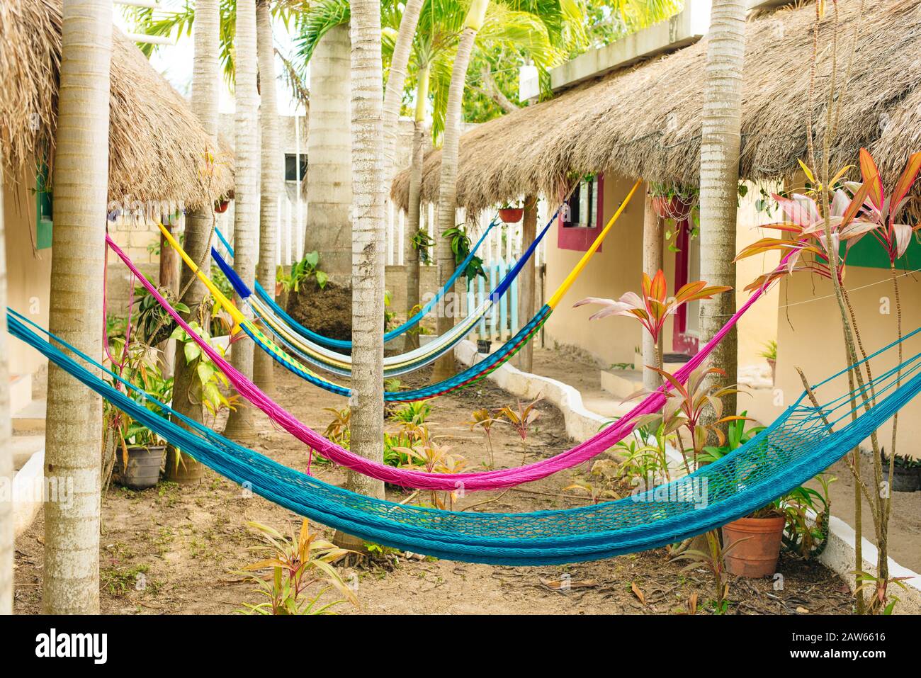 multicolored hammocks among palm trees at the hotel Stock Photo Alamy