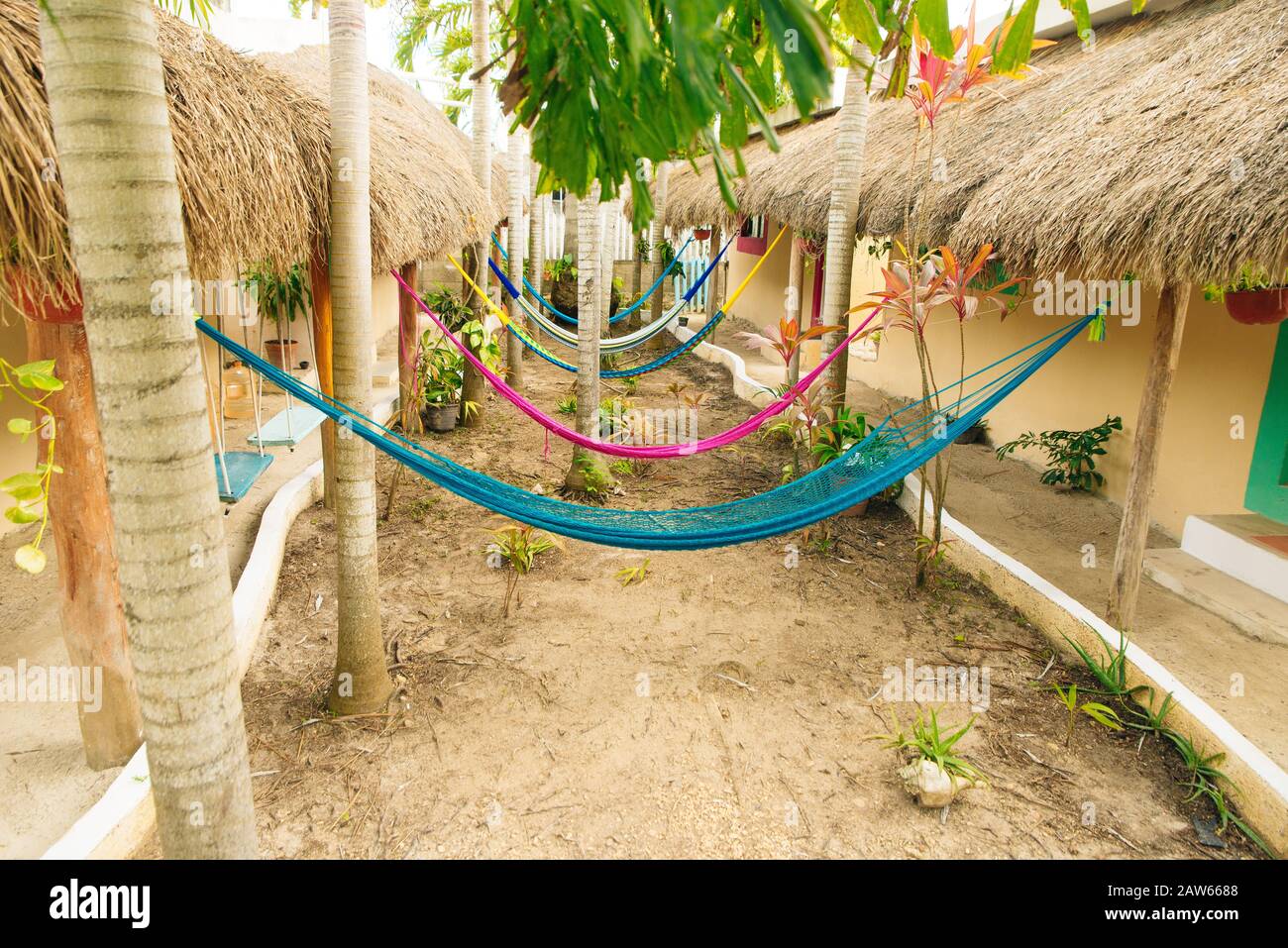 multicolored hammocks among palm trees at the hotel Stock Photo Alamy
