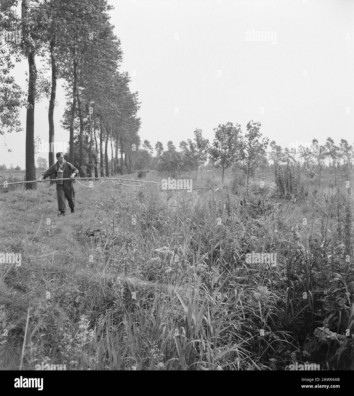 nature, workers, sprinkler systems Date undated Keywords workers