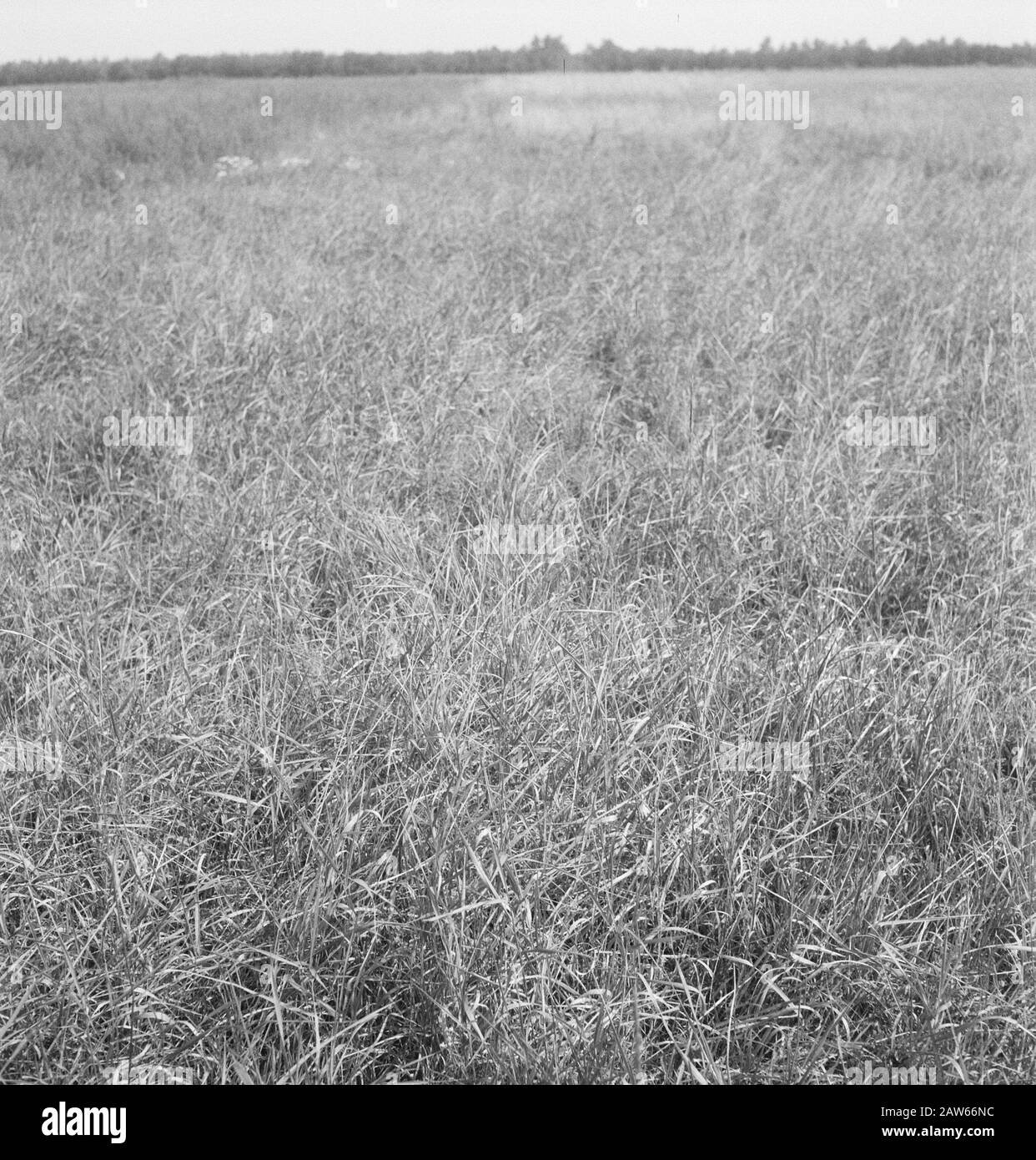 Crops rotation Black and White Stock Photos & Images - Alamy