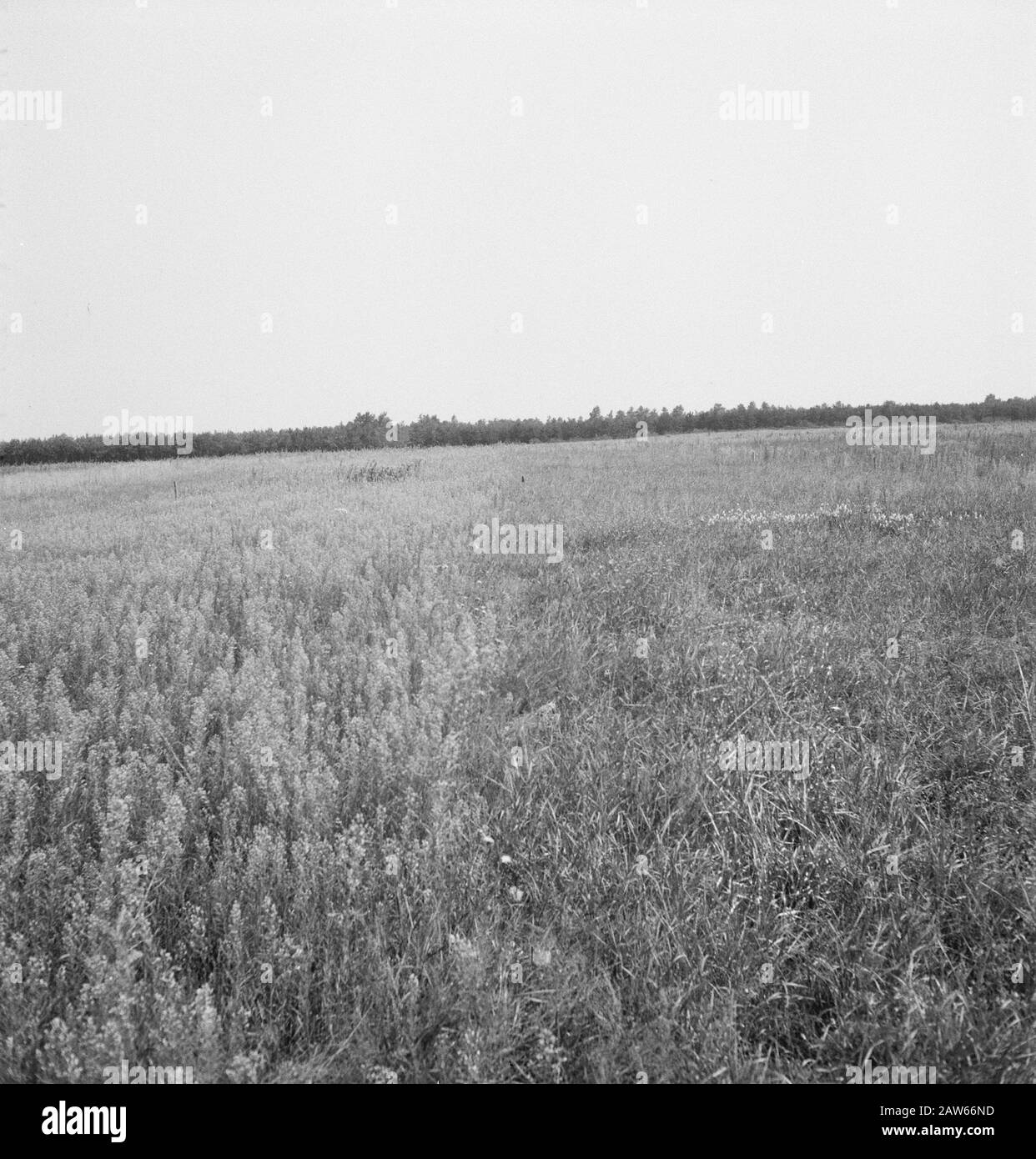 Crops rotation Black and White Stock Photos & Images - Alamy