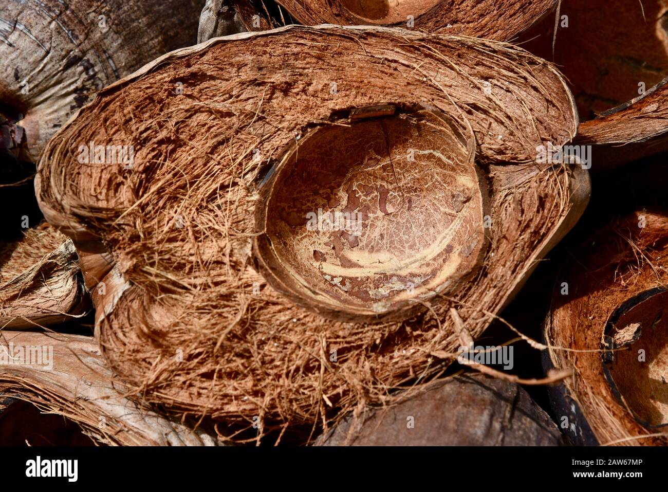 Half of an empty coconut husk in French Polynesia. Stock Photo