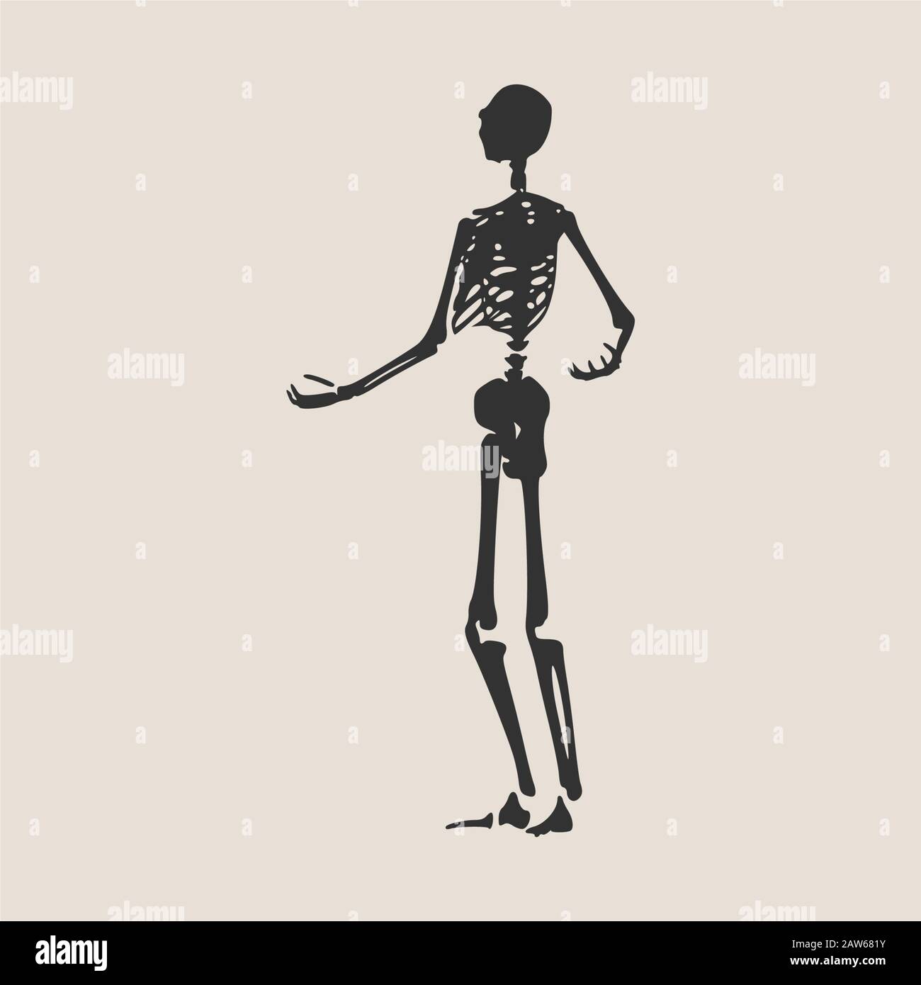 Halloween human skeleton Stock Vector