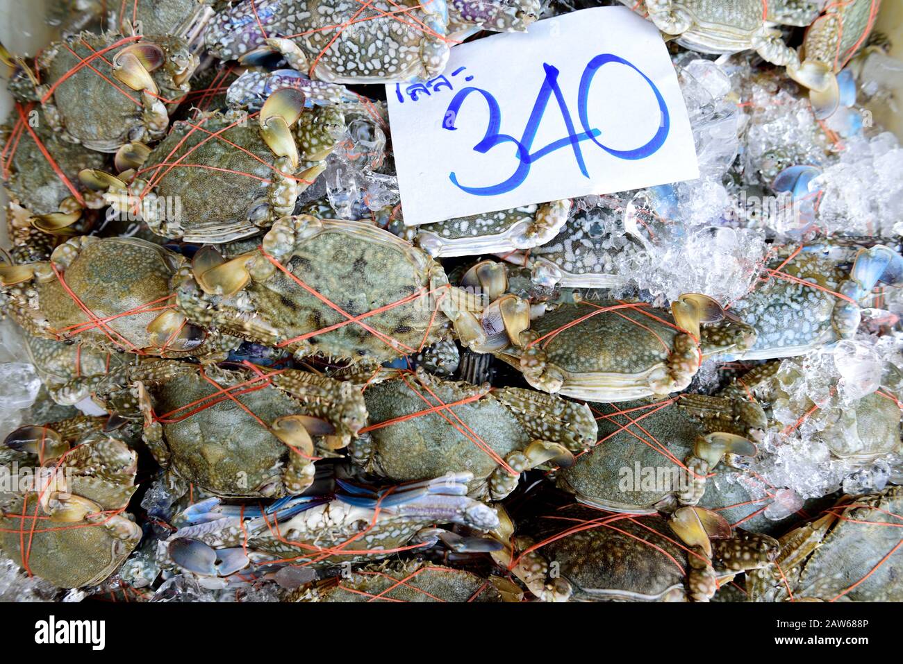 Thai Sea Flower Crabs, fresh caught whole raw Sea Flower crabs for sale