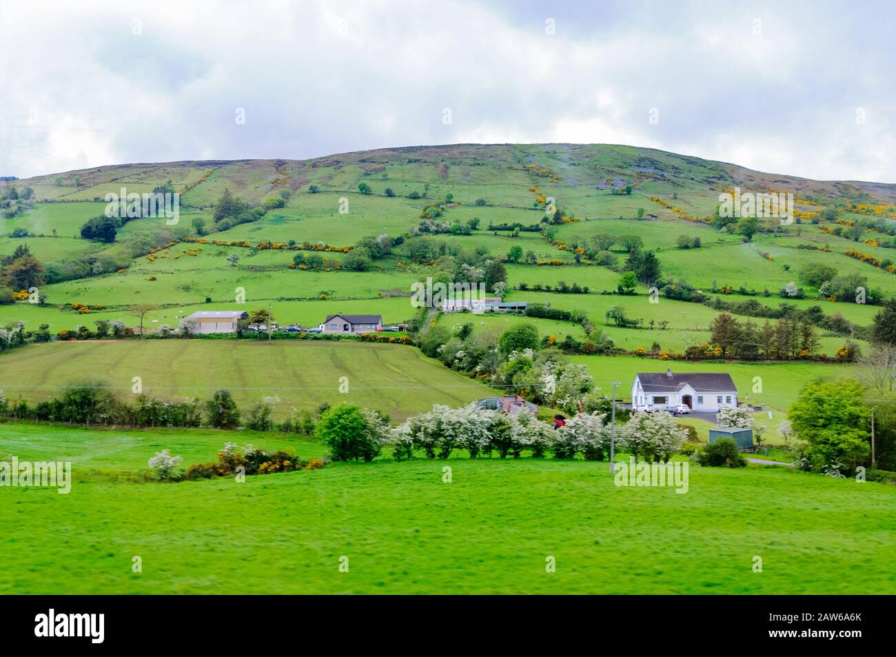 Green countryside of Ireland with trees and bright green grass growing  under cloudy skies Stock Photo - Alamy
