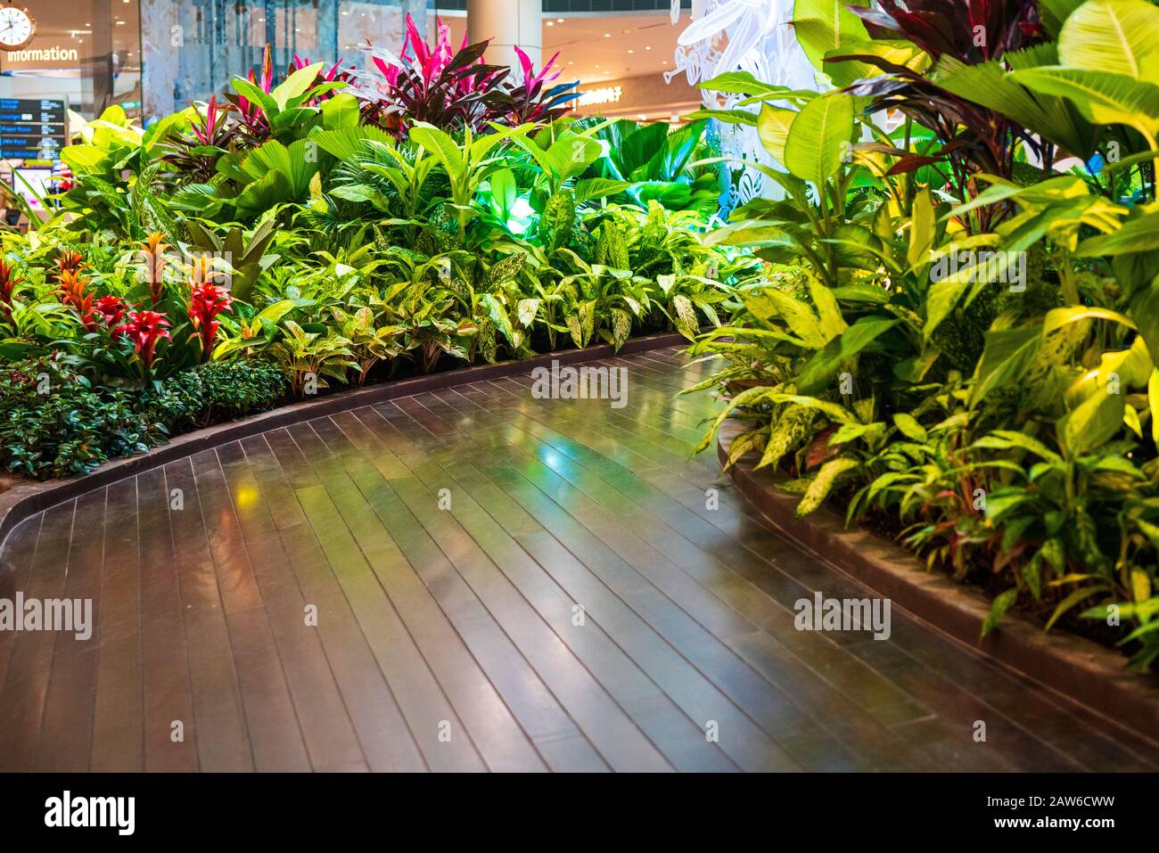 Relax in Singapore's new airport terminal