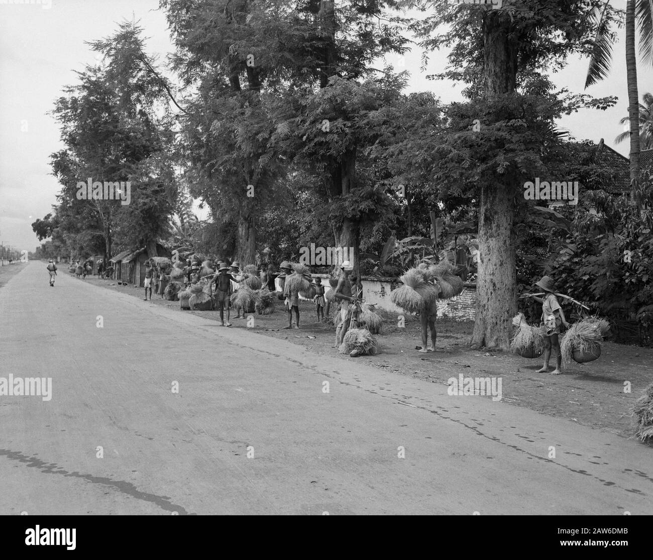 Military Information Service Surabaya  Landarebeiders transporting stand foot rice harvest along the side of a long straight road Date: February 1947 Location: Indonesia, Dutch East Indies, Surabaya Stock Photo