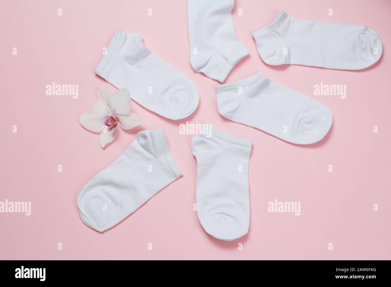 White women socks and orchid flower on a pink background, Top view. Stock Photo
