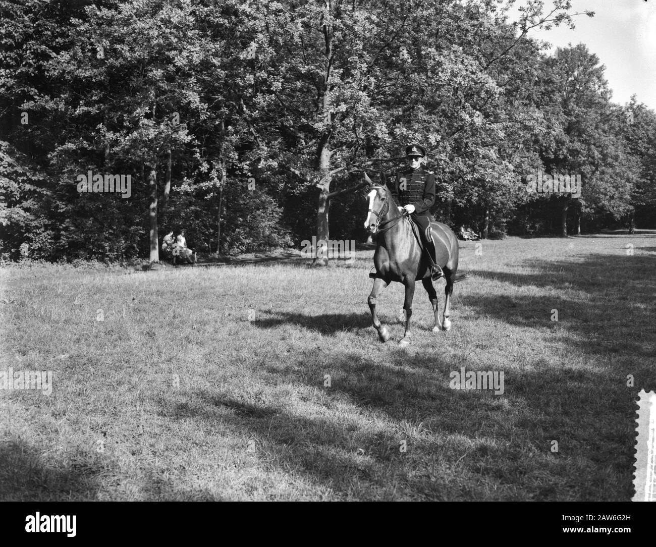 Test participation Black and White Stock Photos & Images - Alamy