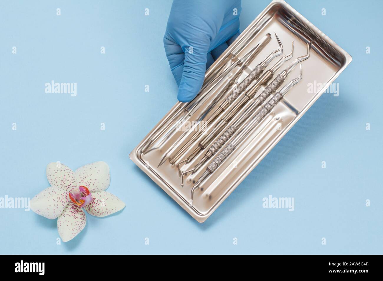 Dentist's hand in a rubber glove with set of composite filling instruments for dental treatment in steel tray. Medical tools concept. Top view. Stock Photo