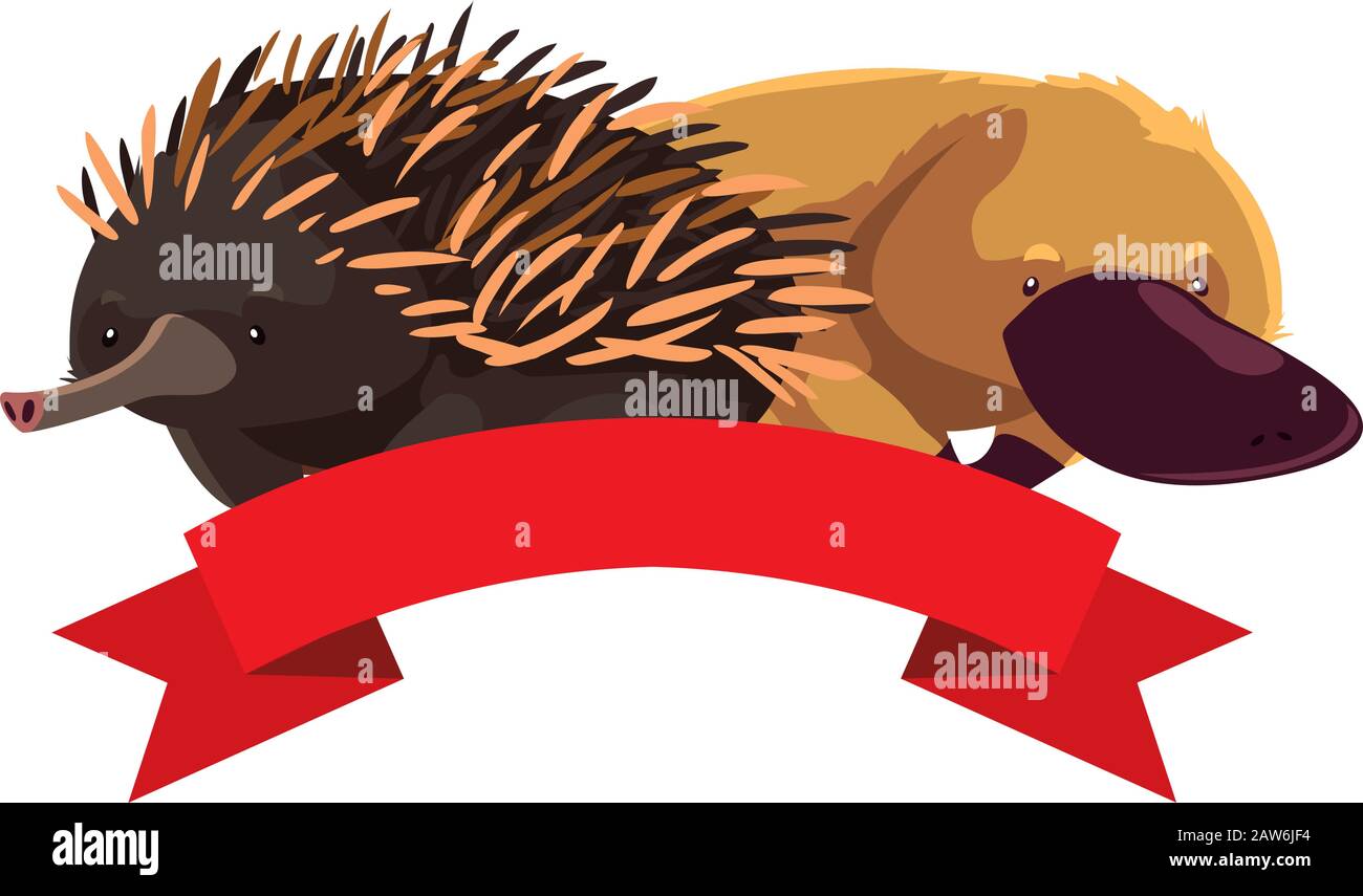 platypus and echidna on white background vector illustration design ...