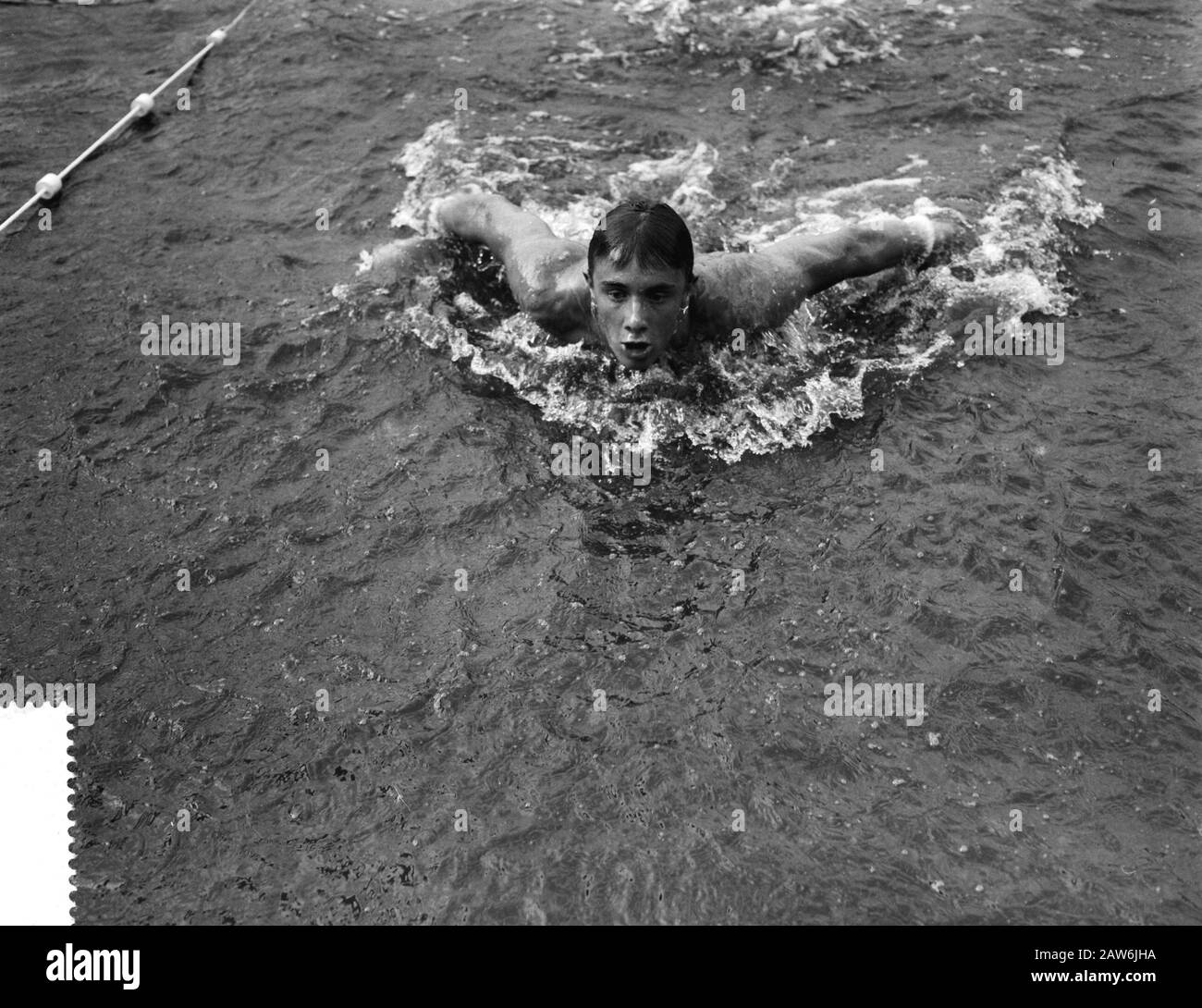 Dutch swimming championships in Appelscha, Bert Sitters in action during 200m butterfly Date: August 8, 1959 Stock Photo