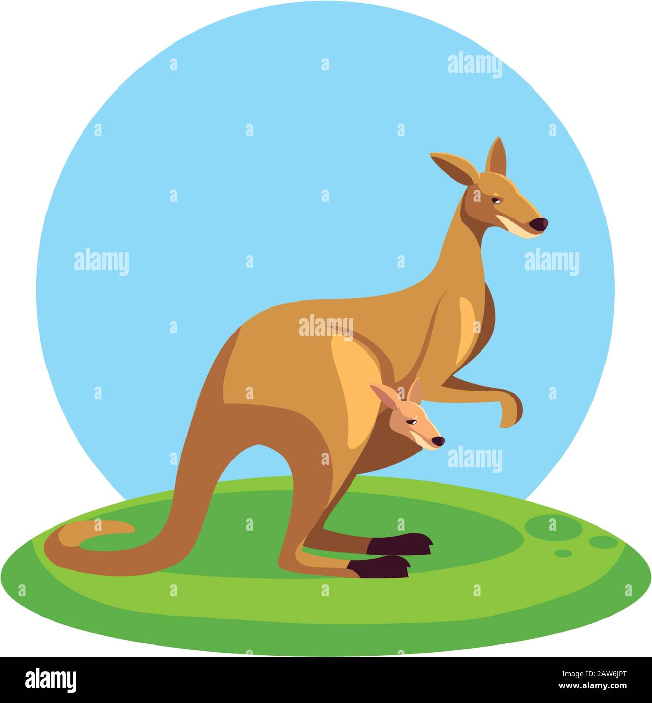 cute australian kangaroo with background landscape vector illustration ...