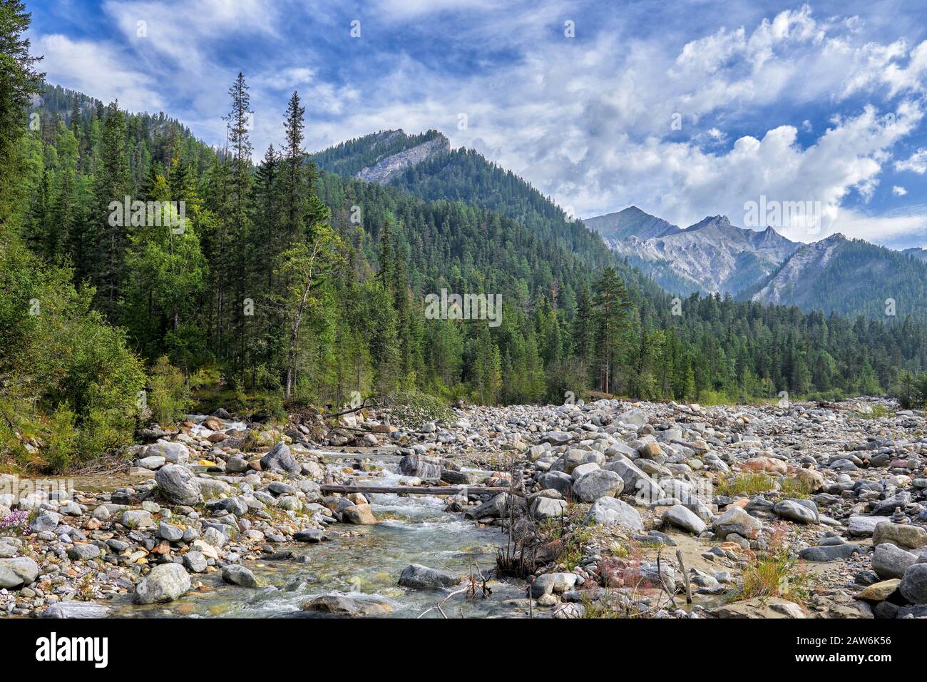 Large boulders and stones are smaller along bed of mountain stream. Dark coniferous Siberian taiga at the foot of a mountain range. East Sayan. Buryat Stock Photo