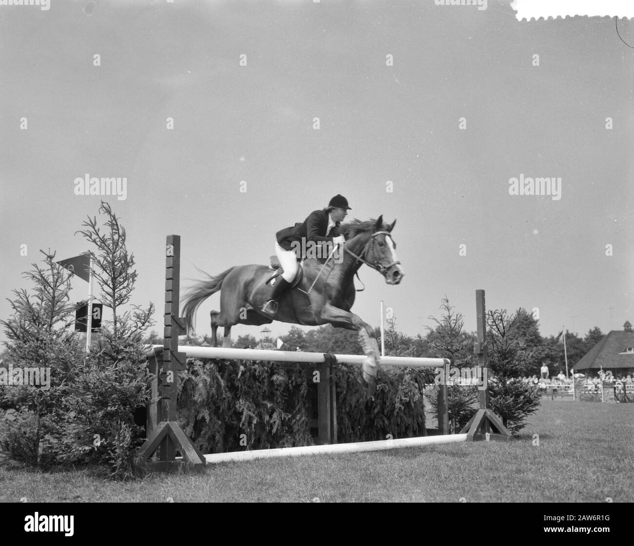 Princess Armgard on International Concours Hippique Date: June 24, 1960 Keywords: competitions Person Name: Armgard, Princess of Lippe-Biesterfeld Stock Photo