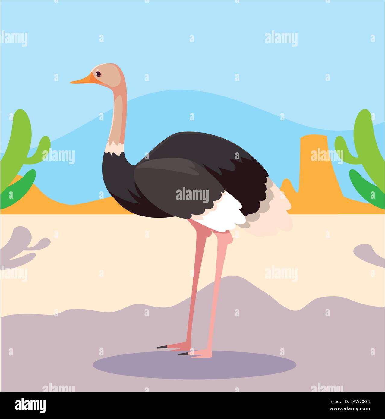 card with ostrich in australian landscape vector illustration design ...