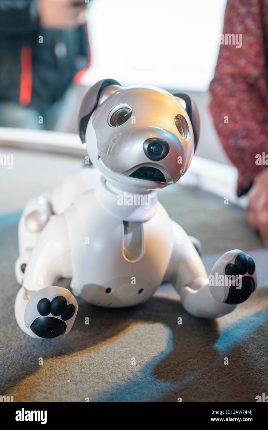 Shenzhen, China, April, 2019. AIBO robot on display at Sony Expo 2019. AIBO (stylized aibo, Artificial Intelligence Robot) is a series of robotic pets Stock Photo