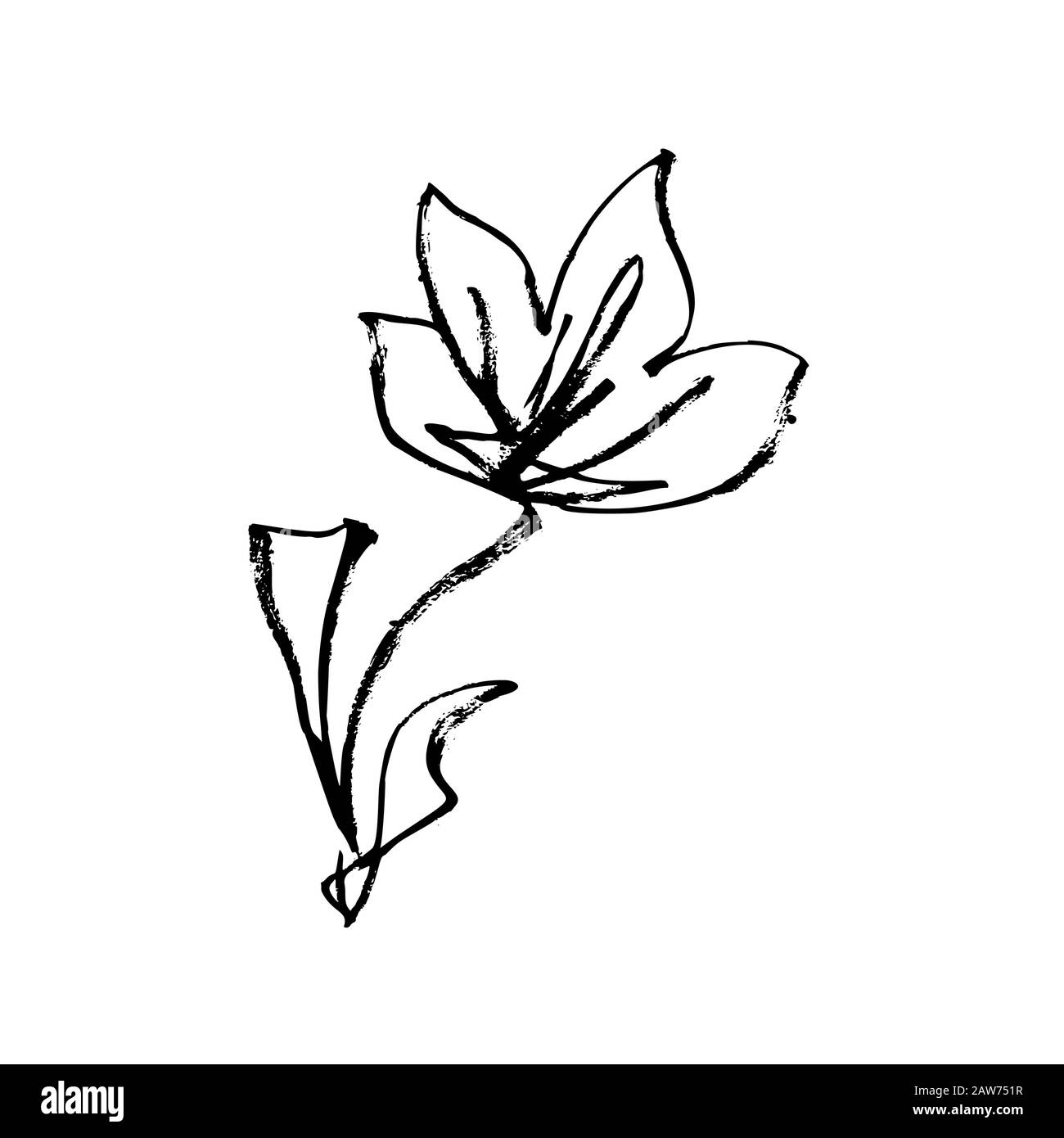 Flower ink paint hand drawn and Japanese calligraphy art style, vector isolated line design. Japanese flower, plum blossom or Chinese apricot meihua petals decoration with ink or pencil grunge texture Stock Vector