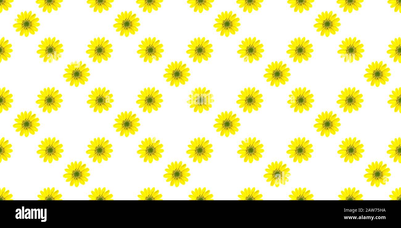 Simple vector seamless pattern with flowers. Yellow flowers on a white ...