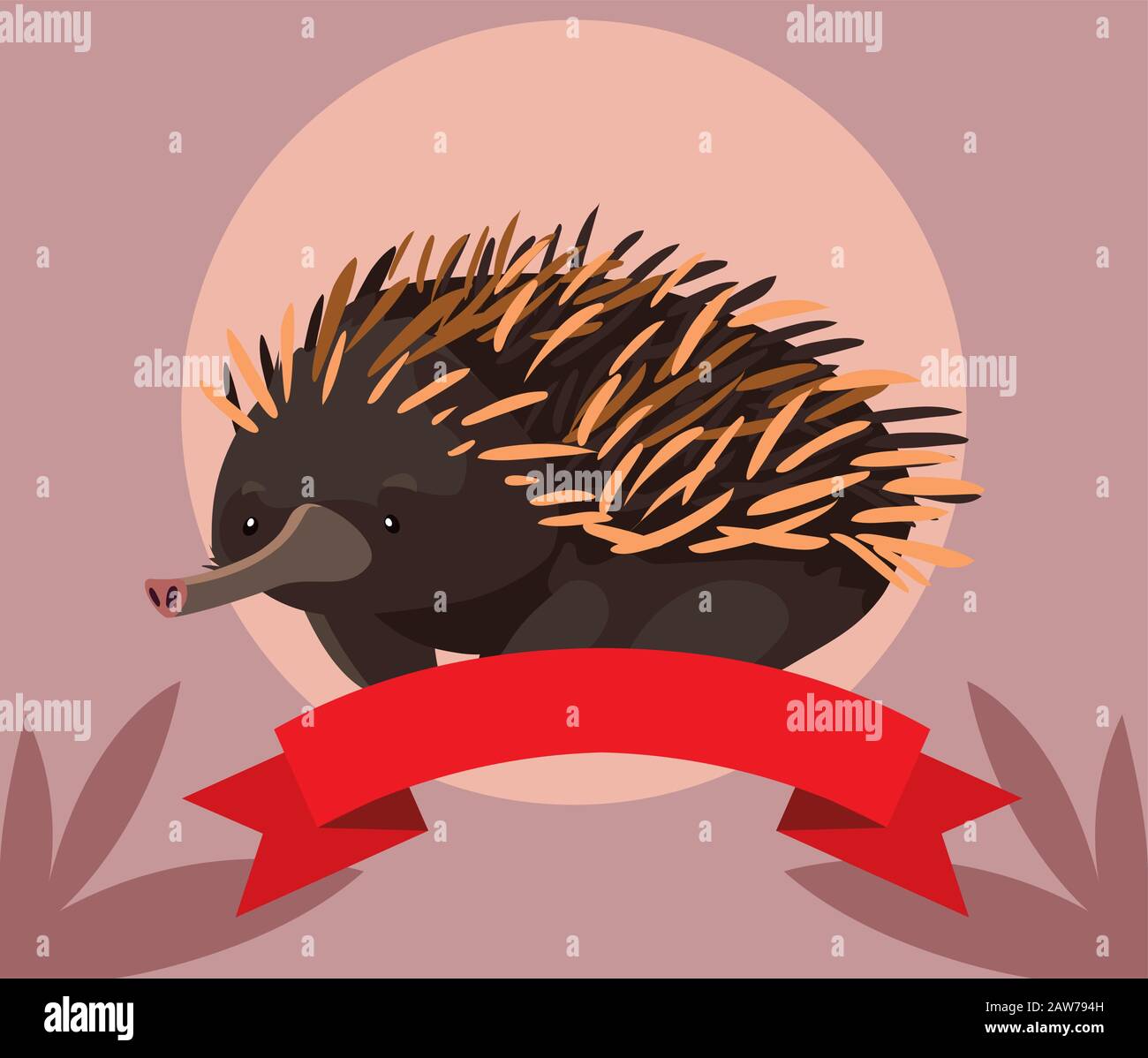 greeting card with australian echidna vector illustration design Stock ...