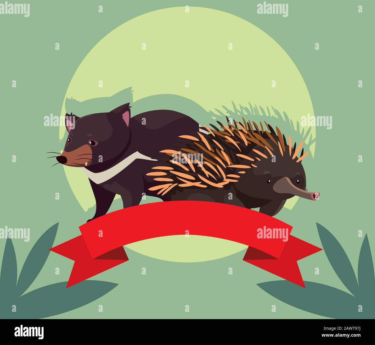 card with tasmanian devil and echidna vector illustration design Stock ...