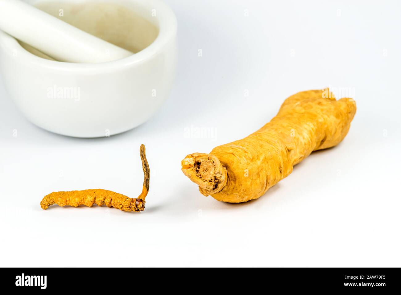 caterpillar fungus, and ginseng root, medicine of the traditional Chinese medicine Stock Photo