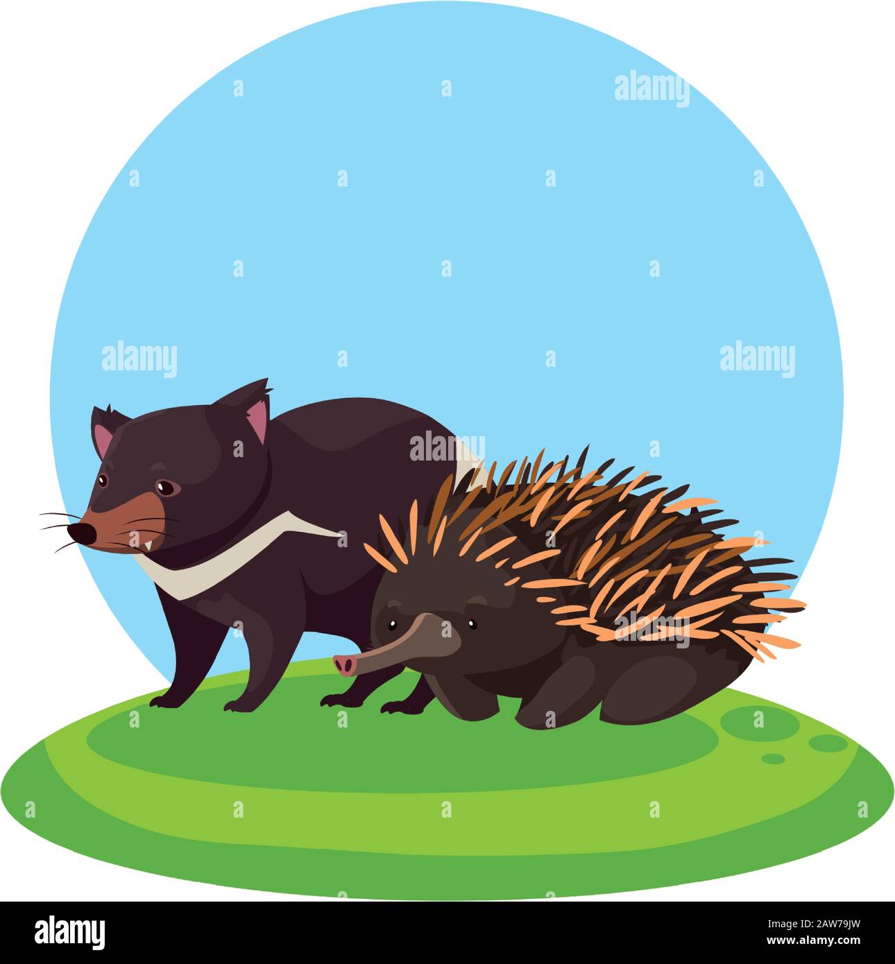 tasmanian devil and echidna over landscape vector illustration design ...