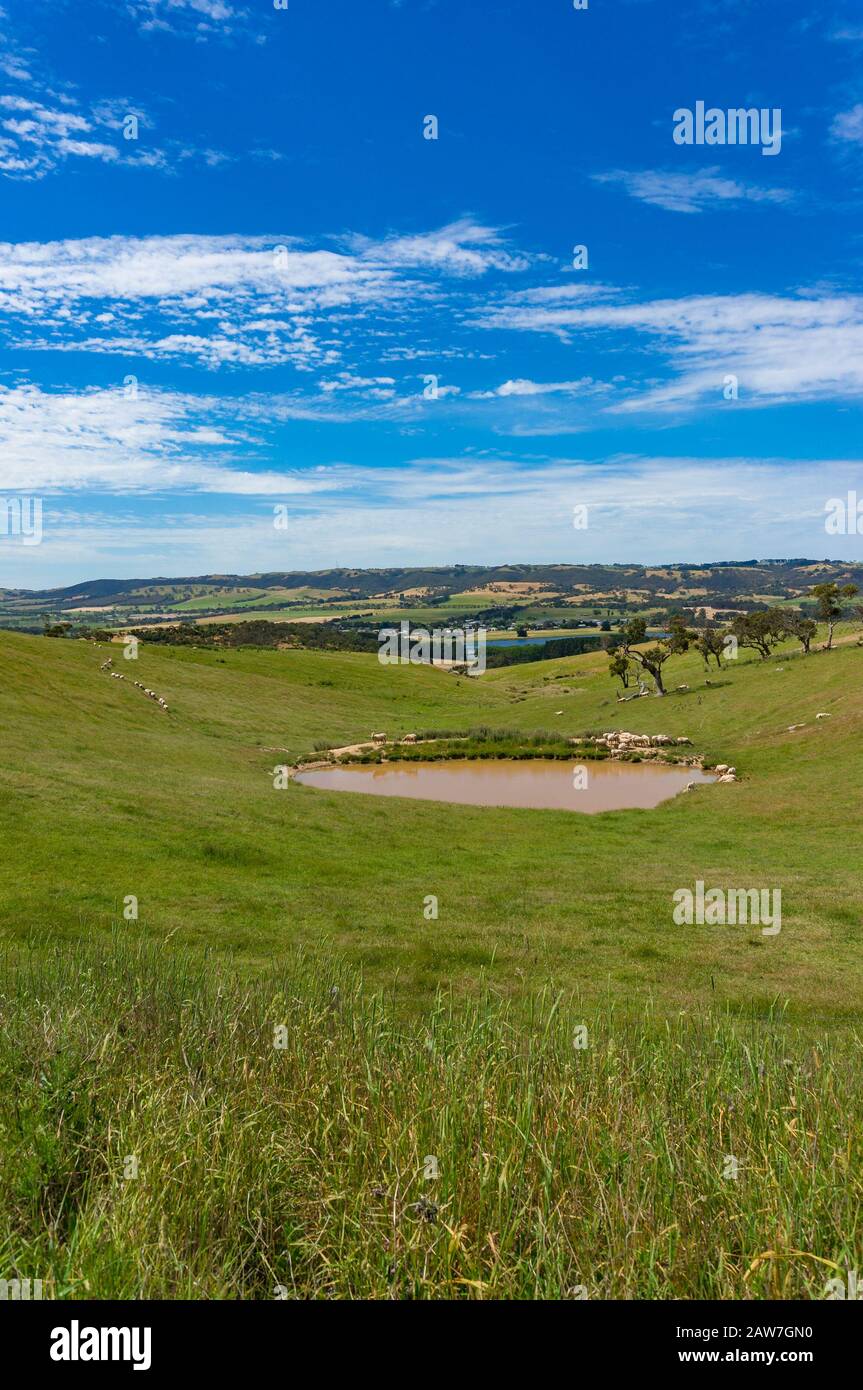 Pretty Paddock Picturesque panoramic landscape of rural countryside field, paddock ...