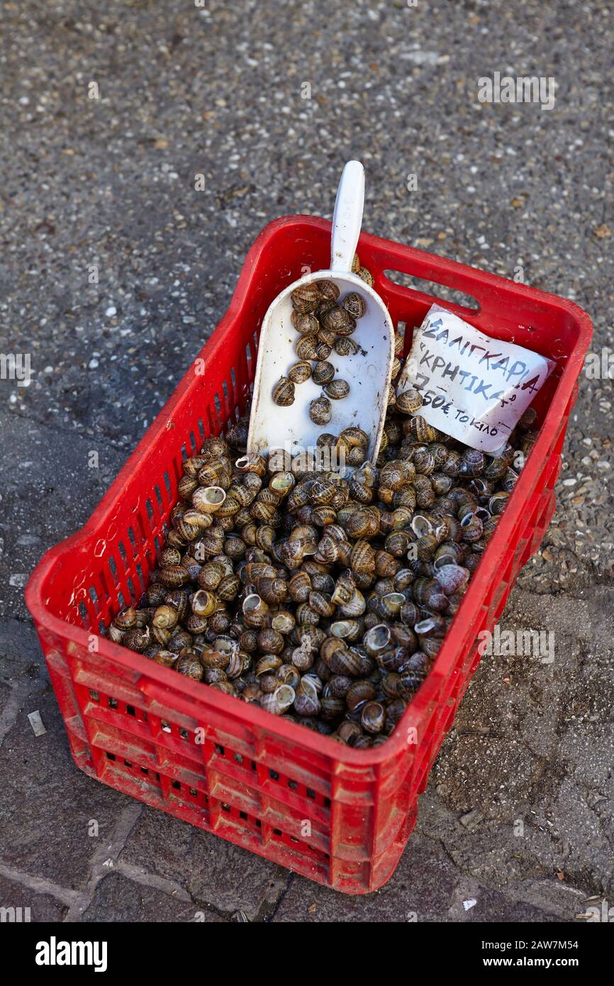edible snail for sale at the market of athens Stock Photo Alamy