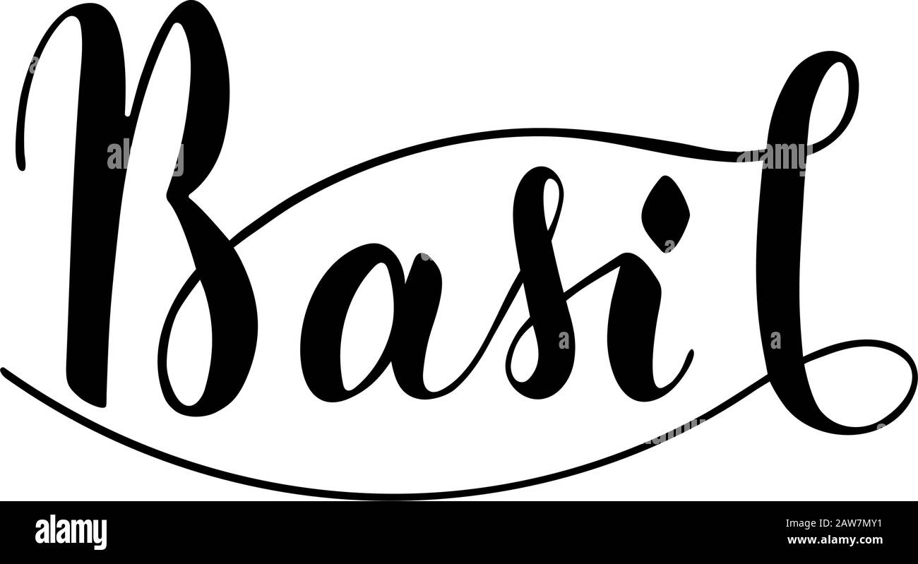 Vector hand written basil text isolated on white background. Kitchen ...