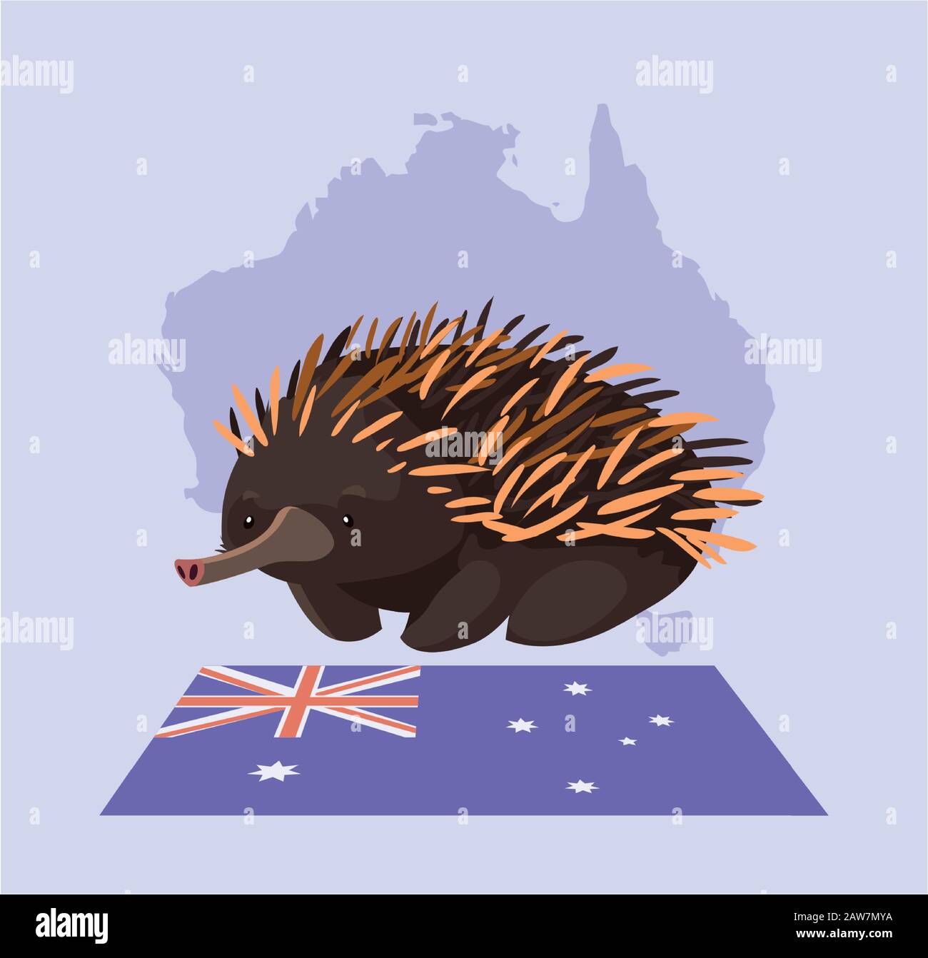 greeting card with australian echidna vector illustration design Stock ...