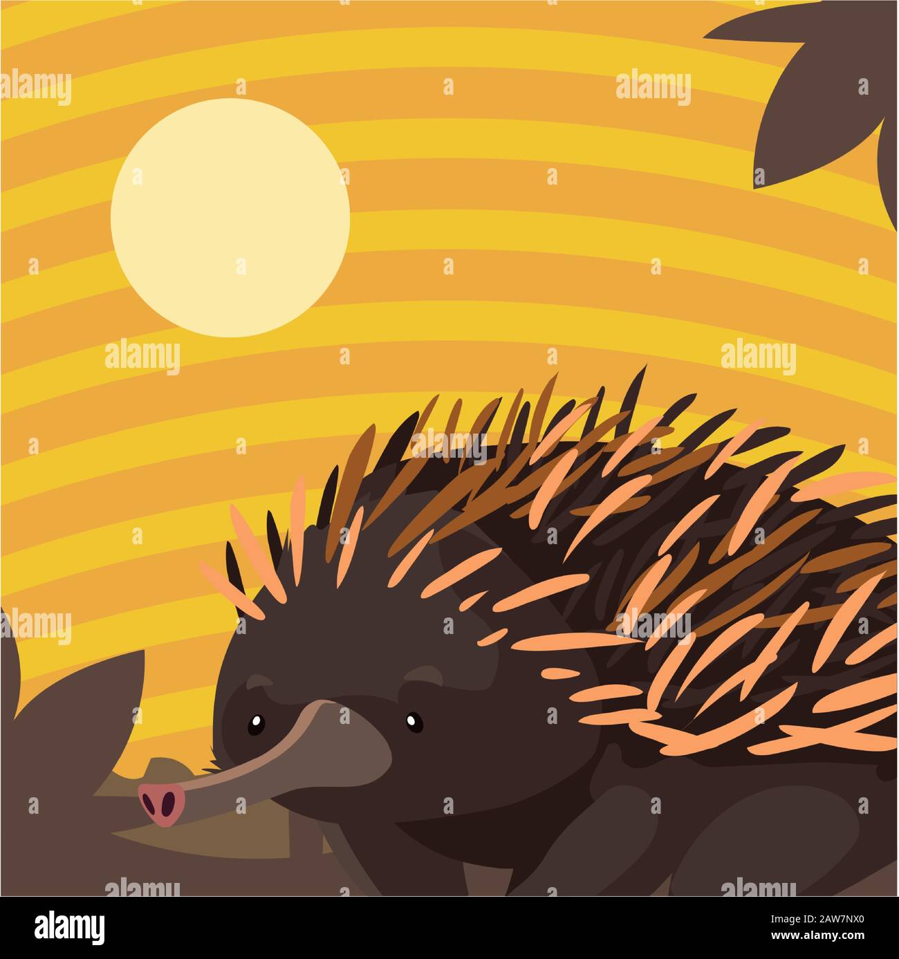 card with echidna in australian landscape vector illustration design ...