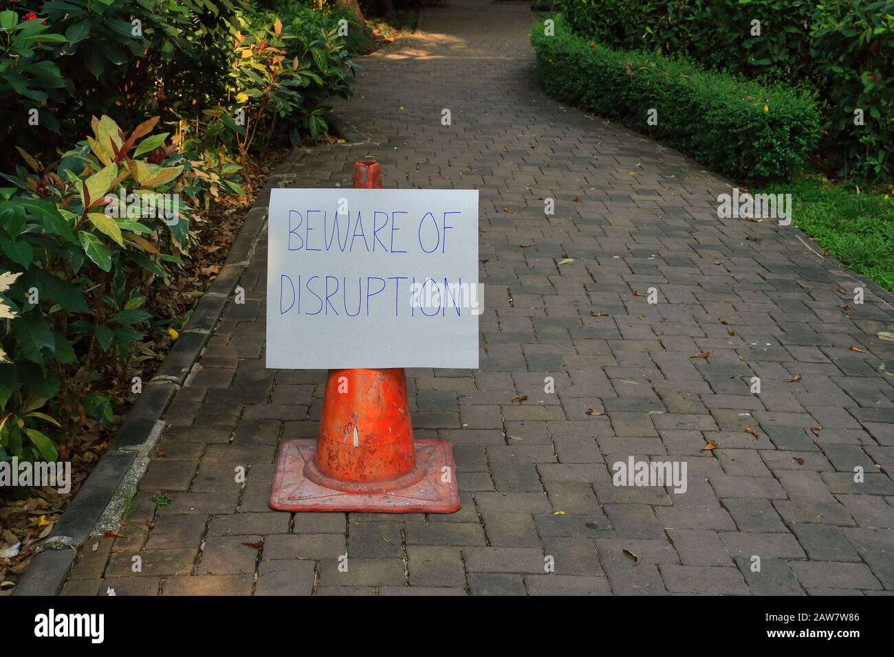 Cardboard sign with handwriting read beware of disruption attached to traffic cone placed on sidewalk in garden, disruptive business concept Stock Photo